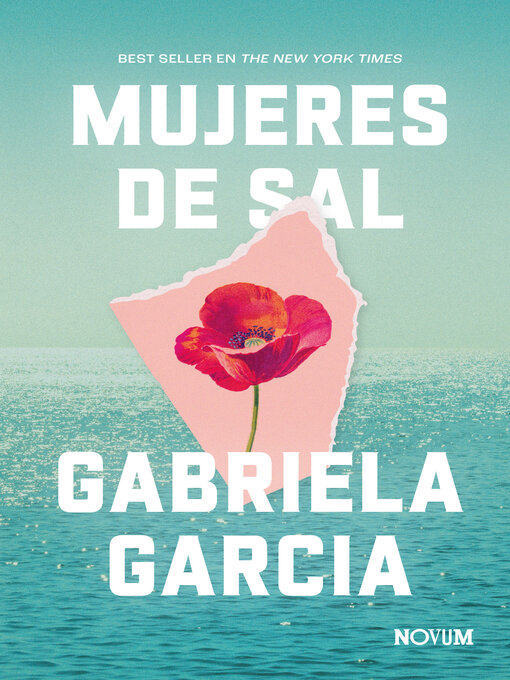 Title details for Mujeres de sal by Gabriela García - Wait list